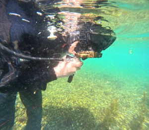 DCIM100GOPROGOPR8005.JPG