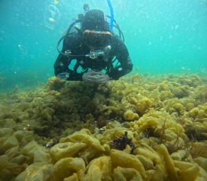 DCIM100GOPROGOPR8016.JPG