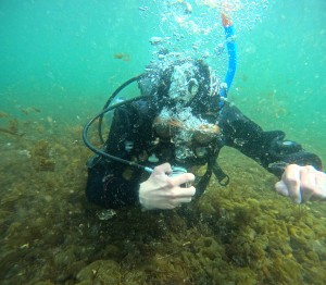 DCIM100GOPROGOPR8021.JPG