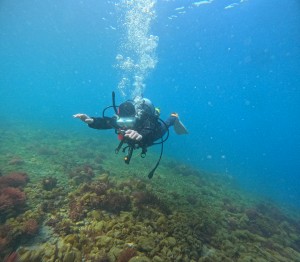 DCIM100GOPROGOPR8061.JPG