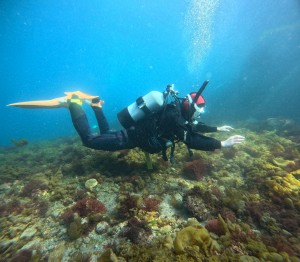 DCIM100GOPROGOPR8064.JPG