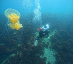 DCIM100GOPROGOPR8071.JPG