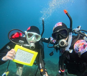 DCIM100GOPROGOPR8083.JPG