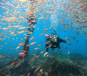 DCIM100GOPROGOPR8091.JPG