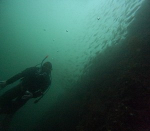 DCIM100GOPROGOPR8102.JPG