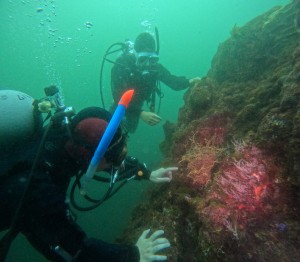 DCIM100GOPROGOPR8110.JPG