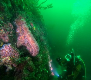 DCIM100GOPROGOPR8118.JPG