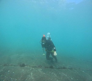 DCIM100GOPROGOPR8649.JPG
