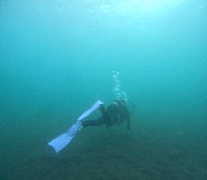 DCIM100GOPROGOPR8670.JPG