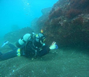 DCIM100GOPROGOPR8673.JPG