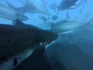 IMG_20260315_101307_037.jpg