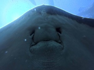 IMG_20260315_102143_074.jpg