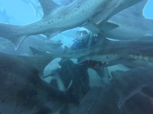 IMG_20260315_122040_153.jpg