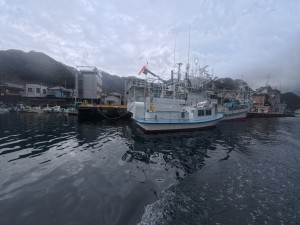 IMG_20260319_093646_332.jpg