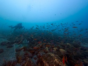 IMG_20260322_113418_034