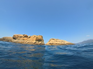 IMG_20260324_102246_095.jpg