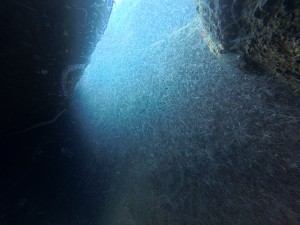 IMG_20260324_104159_102.jpg