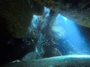 IMG_20260324_104915_117.jpg