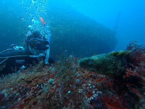 IMG_20260324_131003_163.jpg