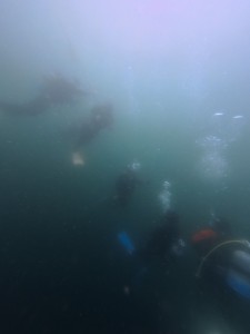 IMG_20260330_105537_011.jpg
