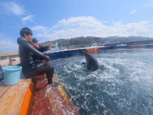 IMG_20260330_131718_036.jpg