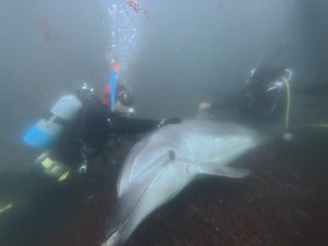 IMG_20260330_134029_092.jpg