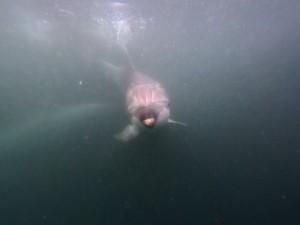 IMG_20260330_140148_192.jpg