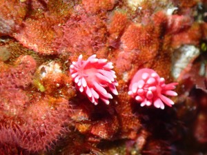 P3010294