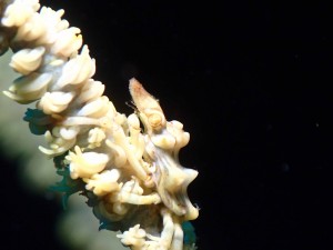 P3010374