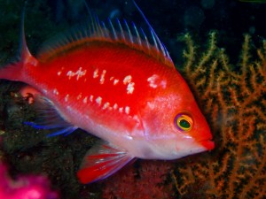 P3040007