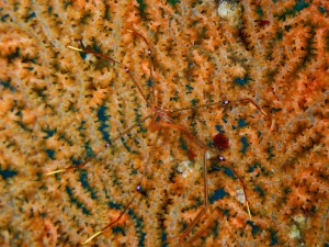 P3040031