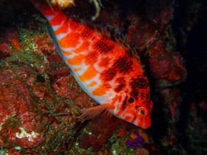 P3040058