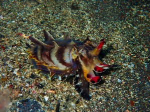 P3090963