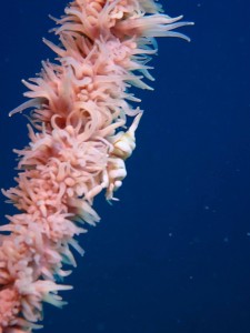 P3110079