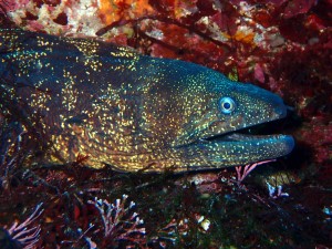 P3120087