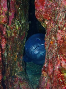 P3120101