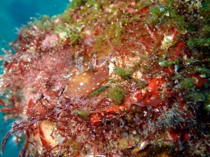 P3130028