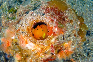 P3150011