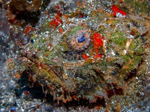 P3151823