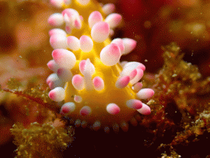 P3210844