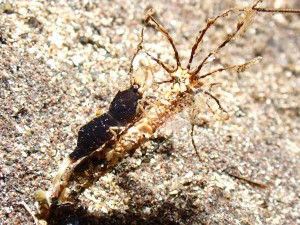 P3290029