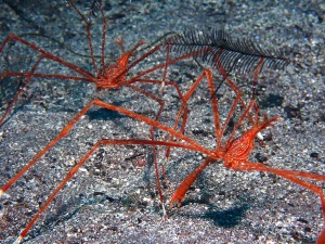 P3298510