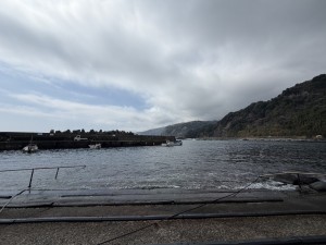 S__270868509