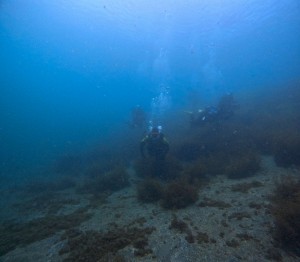 GOPR8073