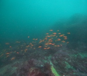 DCIM100GOPROGOPR8146.JPG