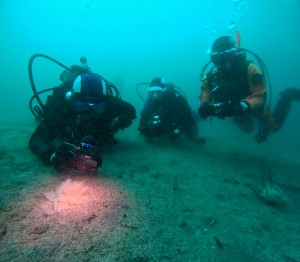 DCIM100GOPROGOPR8159.JPG