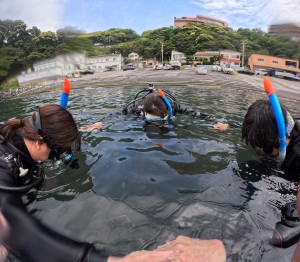 DCIM100GOPROGOPR8225.JPG