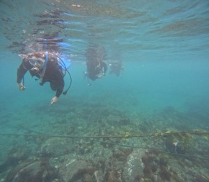 DCIM100GOPROGOPR8228.JPG