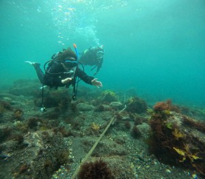 DCIM100GOPROGOPR8233.JPG