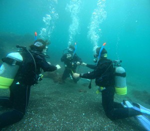 DCIM100GOPROGOPR8311.JPG